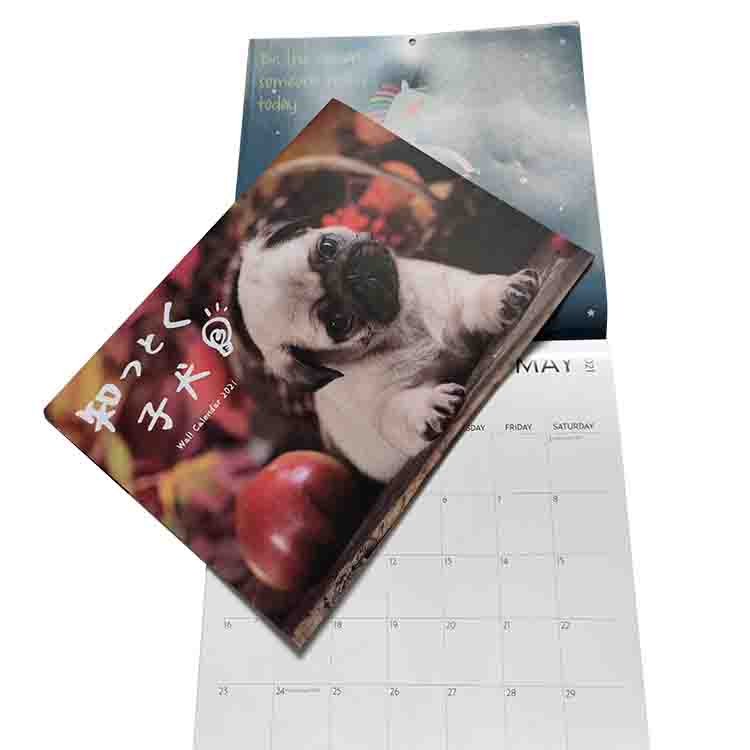 Wire Binding Glossy Paper Calen